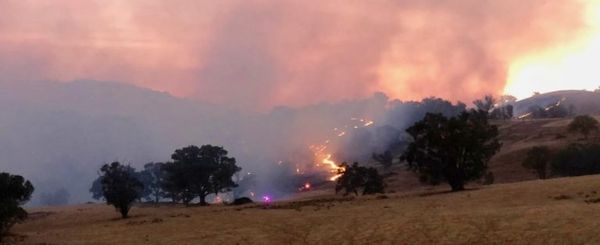 After the Tragic Wildfires: History is Rewritten or Forgotten