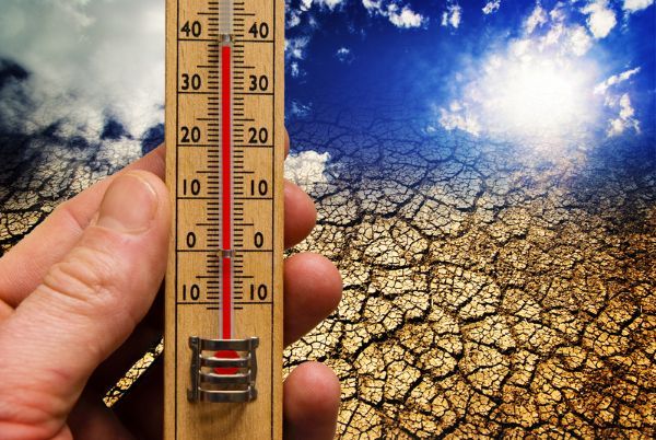 Cargo Cult Climate Economics